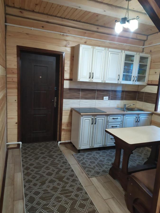 Чорний Лелека Svitjaz Exteriör bild