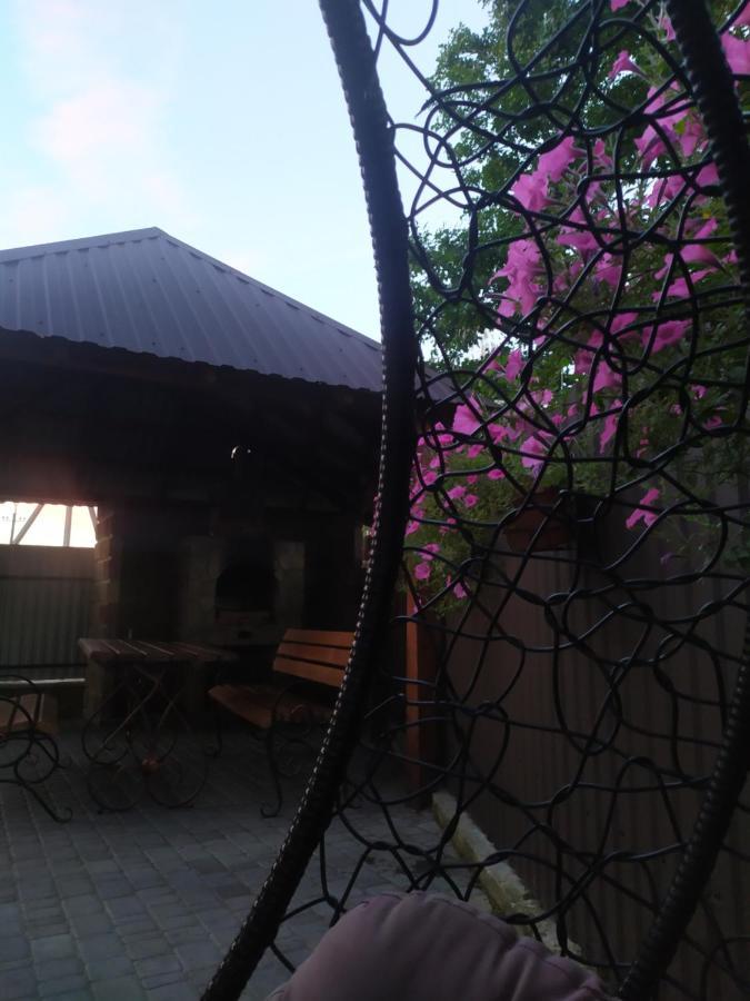 Чорний Лелека Svitjaz Exteriör bild